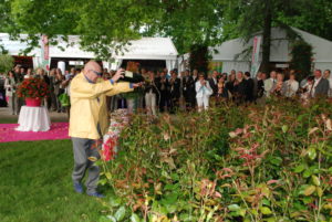 21 Mai 2008 – Un rosier « nouvelle génération »