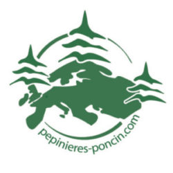 Logo Pépinières PONCIN Logo Pépinières PONCIN