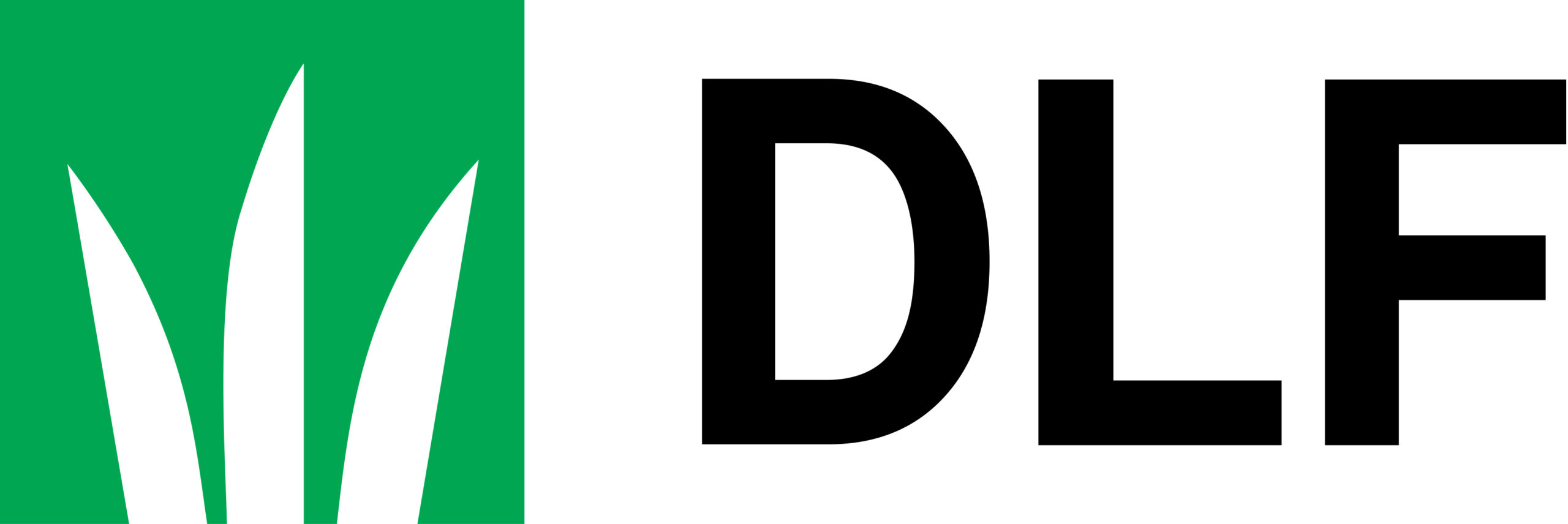 Logo DLF 2023