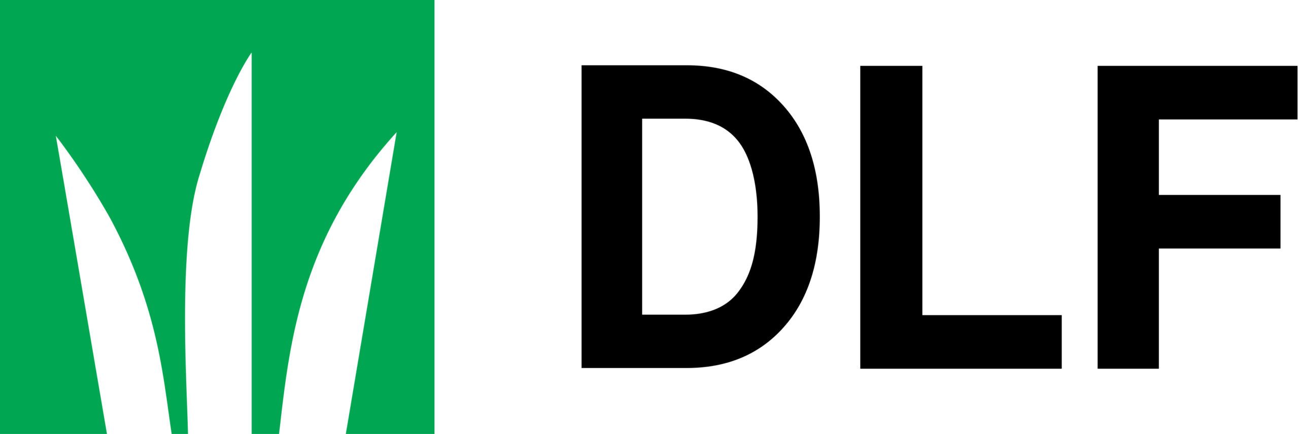 Logo DLF 2023 Logo DLF 2023