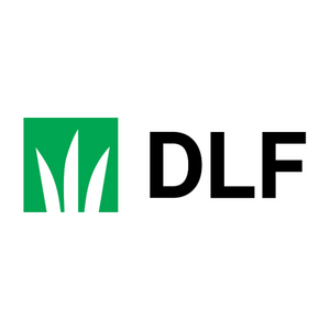 DLF